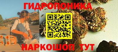 таблы Будённовск