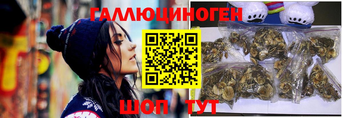Галлюциногенные грибы GOLDEN TEACHER Конаково