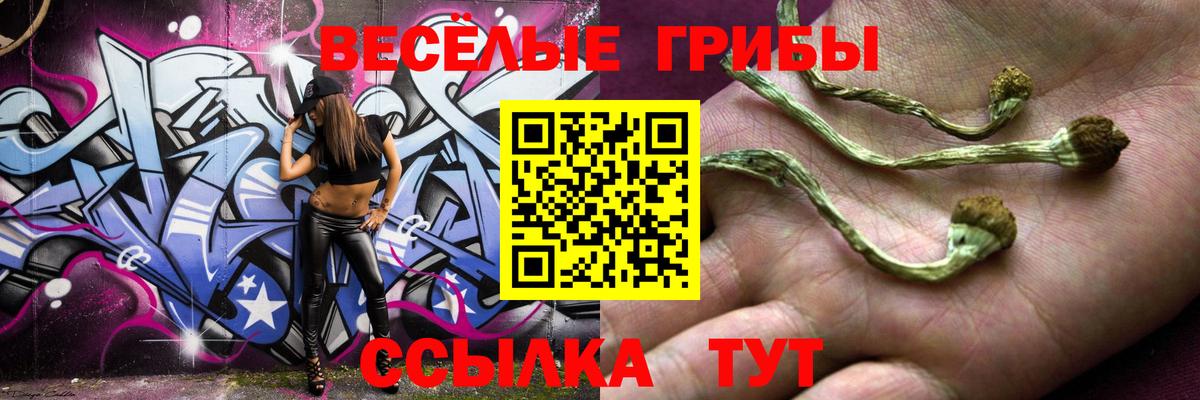Галлюциногенные грибы Magic Shrooms  Вход с VPN  Конаково 